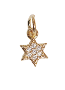 little star（gold・zirconia）